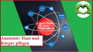 Vom Atom zum Organismus [upl. by Solracsiul]