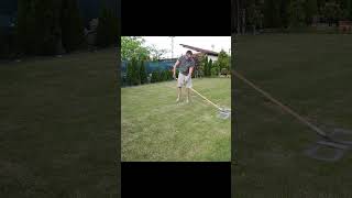 Lawn renovation 0 to 40 days after diy lawn overseeding [upl. by Thin560]