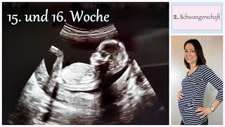 Schwangerschaftsupdate  15 und 16 Woche  Hebamme und Frauenarzt  gabelschereblog [upl. by Sicular]