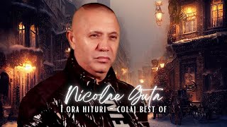 Nicolae Guta  Viata mea iubire funky remix [upl. by Irrehc154]