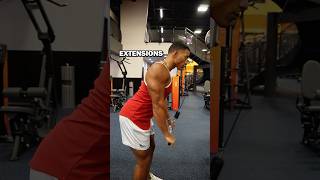 How to do Tricep Extensions 💪🏽 triceps tricepsworkout armworkout armsworkout [upl. by Schulein]