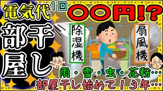 【知ってました？】室内干し１回の電気代、なんと〇〇円！部屋干し歴１３年が節約のコツお教え！乾燥機、除湿機、扇風機、サーキュレーター、エアコン…コンプレッサー、デシカント、ハイブリッド【パナソニック】 [upl. by Enairda]