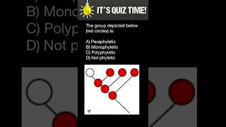 Monophyletic Paraphyletic Polyphyletic groups [upl. by Carrol71]