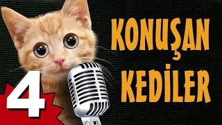 Konuşan Kediler 4  En Komik Kedi Videoları [upl. by Avik]