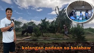 P2 MAY KALABAW SA CALAMANSIAN [upl. by Adeirf]