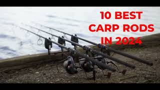 10 BEST CARP RODS IN 2024 [upl. by Jocelyne]