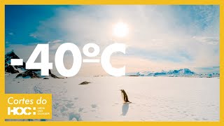 O INVERNO NA ANTÁRTICA  Cortes do HOC [upl. by Natsyrt]