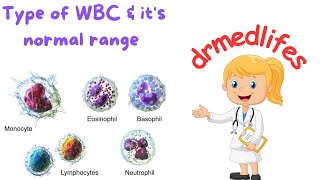 Types of wbc  types of leucocytes  different types of white blood cells normal range [upl. by Jemma]