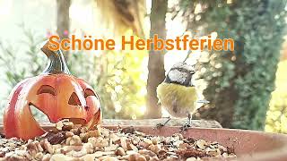 Schöne Herbstferien [upl. by Nagirrek]