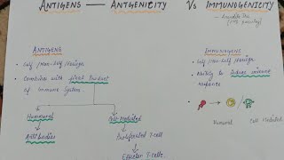 Antigens vs Immunogens vs Haptens  Immunology by Anandita Jha  Antigenicity And Immunogenicity [upl. by Fennessy954]