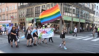 CSDParade Linz 2017 Respekt statt Hass und Hetze 1 [upl. by Hakilam]