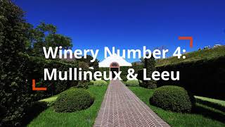 Video 8 Wine Tasting In Franschhoek SA [upl. by Nnyleuqaj663]