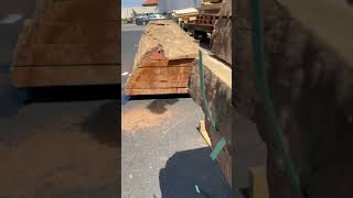 New shipment of Sapele wood slabs woodworking [upl. by Aineval]