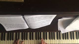 “For Reverend Green”  “Fireworks”  Animal Collective Piano Cover [upl. by Letisha480]