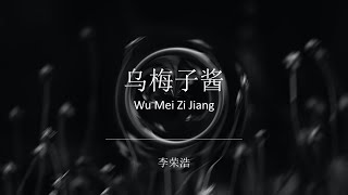 乌梅子酱 Wu Mei Zi Jiang  李荣浩 Li Rong hao Lyrics Video W Pinyin [upl. by Aisyat]