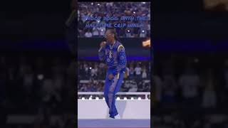 Snoop Dogg Halftime crip walk [upl. by Lederer268]