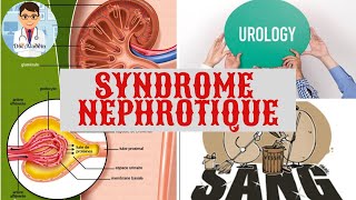 SYNDROME NEPHROTIQUE DÉFINITION  PHYSIOPATHOLOGIE  CAUSE  TRAITEMENT [upl. by Turino]