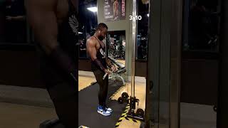 biceps workout 💪🏽 bicepsworkout workout gym bodybuilding bicep shortvideo [upl. by Osei]