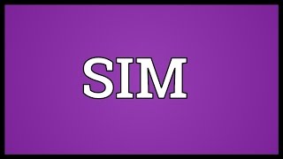 SIM Meaning [upl. by Liw]