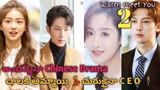 Warm meet You 2021 drama explained in telugu  Chinese drama explained telugu  Part2 [upl. by Noryb]