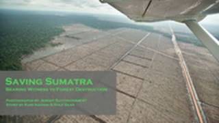 Saving Sumatra [upl. by Janerich196]