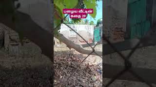 பழைய வீட்டின் கதை 29  முனைவர்முத்துகிருஷ்ணன் vedaranyam story kanniyakumari [upl. by Anem]