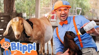 Blippi Visits a Baby Animal Farm  Learn About Animals  Animal Videos for Kids [upl. by Eshelman298]