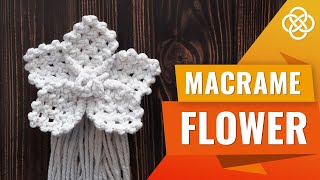 DIY Macrame Flower Tutorial  Macrame DIY  Easy Macrame Flower Tutorial [upl. by Mihcaoj]