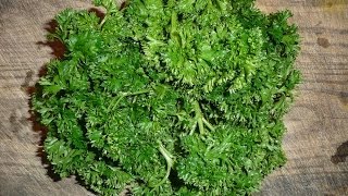 How To Juice Parsley Recipe [upl. by Urien]