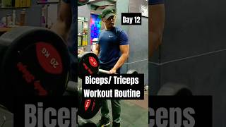 Day 12  I Tested the Arms Day Workout from Cyberpunk [upl. by Auqenes]