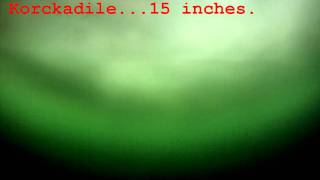 Big Lake Ice fishing Nov 20 2011 Underwater footage trial [upl. by Nnaharas]