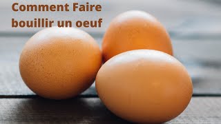 COMMENT FAIRE BOUILLIR UN OEUF A LA PERFECTION [upl. by Saiasi469]