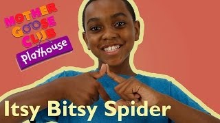 Itsy Bitsy Spider  Mother Goose Club Playhouse Kids Video [upl. by Cindy]