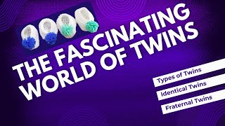 How are twins formed  Types of Twins  Identical amp Fraternal Twins [upl. by Leatrice229]