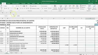 Ejercicio Práctico No 2 Ejecución Presupuesto de Gastos en las entidades públicas [upl. by Raybin]