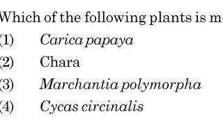 Which of the plants is monoecious NEET 2021 QUESTION [upl. by Yuzik]