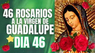 DIA 46⭐ ESTRELLA PERFECTA🌹 46 ROSARIOS A LA VIRGEN DE GUADALUPE🌷 [upl. by Bevis]