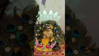 Jay Ho Ekadashi Maiya ki shortlyvideo 🙏🙏🙏🙏 [upl. by Ahsiyn]