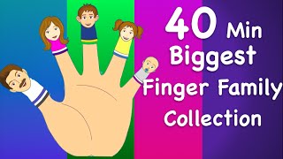 Finger Family Collection  NonStop 40 Minutes  Biggest Collection of Finger Family For Children [upl. by Friedrick]