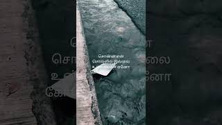 Ennai kollathey song lyrics shorts ennaikollathey tamil [upl. by Lenod]