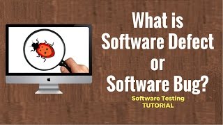 What is Software Defect or Software Bug Software Testing Tutorial 22 [upl. by Adiarf354]