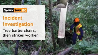 Incident Investigation Tree Barberchairs Then Strikes Worker  WorkSafeBC [upl. by Attelliw]