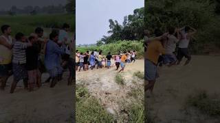 Villagers resque a diseased and lame cow from a paddy field [upl. by Kwan]