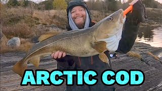 Surf casting in arctic Norway [upl. by Ardien]