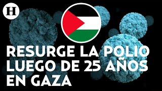 OMS da inicio la primera fase de la vacunación contra la poliomielitis en la Franja Gaza [upl. by Nyltak631]