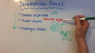 Intermolecular Forces [upl. by Ynner]