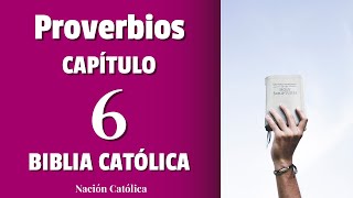 PROVERBIOS 6 ✝️ la Biblia Hablada Católica ✝️ con EXPLICACIÓN [upl. by Eupheemia]