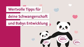 Die PANDApost  dein Begleiter durch die Schwangerschaft und Babys erste Schritte [upl. by Groome]