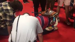 Chris chan melt down at TooManyGames lmao… 2 [upl. by Nylimaj]