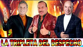 LA TRIPLETA DEL DESPECHO Dario Gomez Charrito Negro Jhonny Fernando Luis Alberto Posada PuroDespech [upl. by Yot]